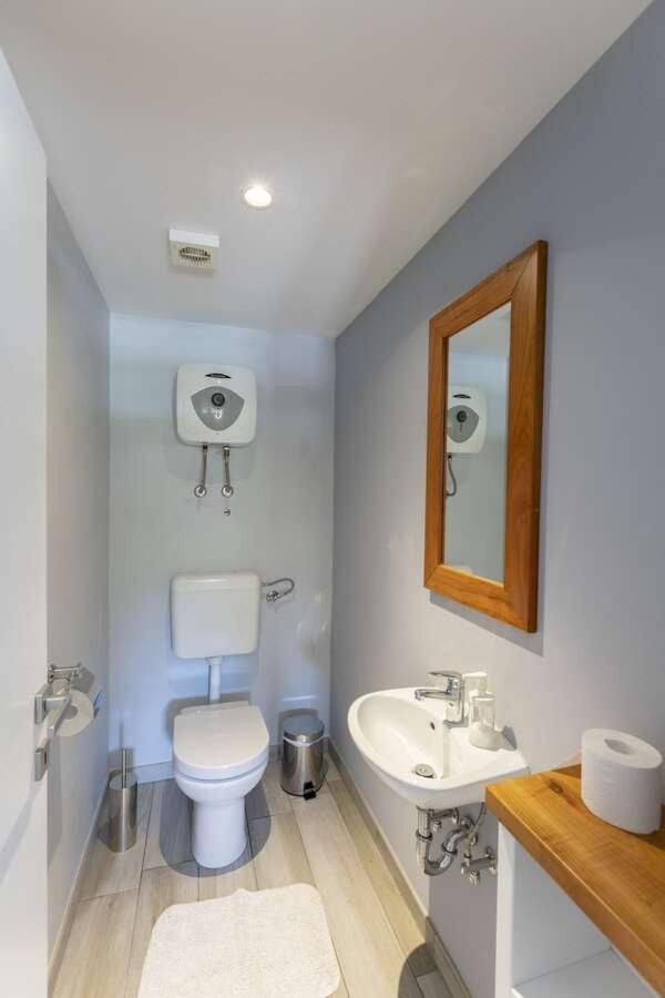 Villa Viscum In Central Istria For 8 Persons With Large Garden - Pet Friendly Pazin Extérieur photo