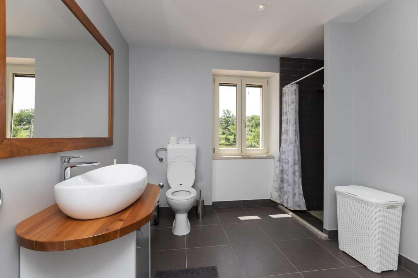 Villa Viscum In Central Istria For 8 Persons With Large Garden - Pet Friendly Pazin Extérieur photo